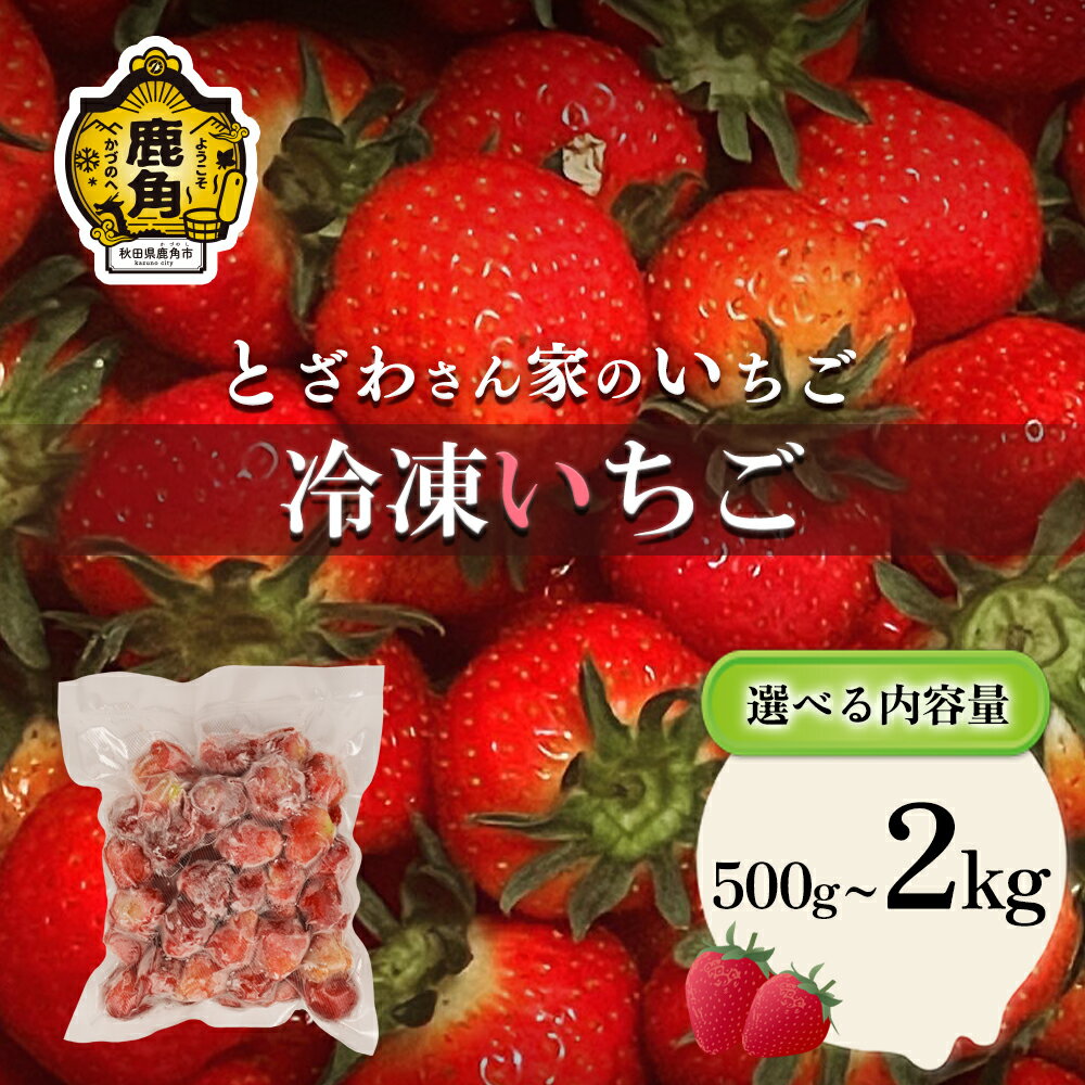 鹿角産 冷凍 いちご 1袋 500g入り 選べる 内容量 500g～2kg 旬 県産 県産いちご 国産いちご いちご 苺 イチゴ 真空 真空パック 小分け お中元 お歳暮 お取り寄せ 母の日 父の日 グルメ 故郷 秋田 あきた 鹿角市 鹿角 送料無料【とざわさん家のいちご】