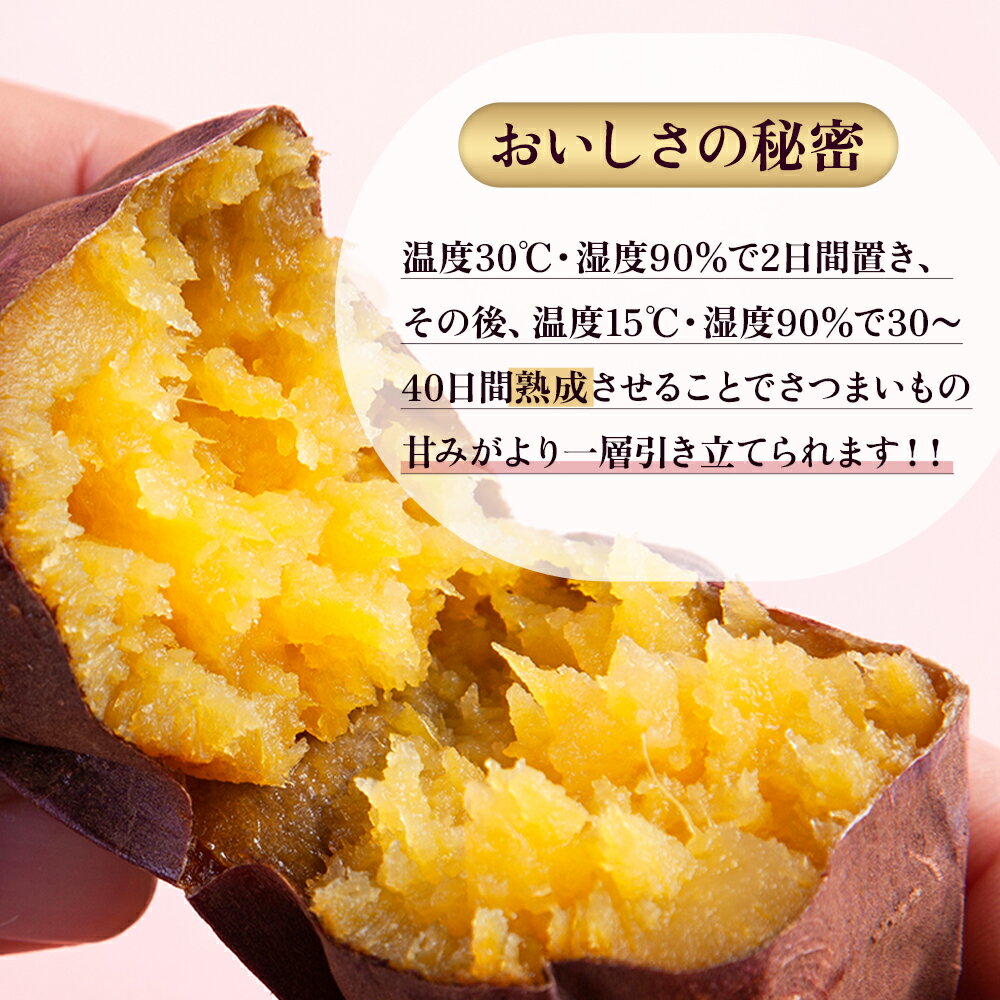 【ふるさと納税】 冷やし 壺焼き芋 6本 秋田県 鹿角産 熟成 さつまいも 冷蔵 サツマイモ 甘い ほくほく 芋 いも 野菜 新鮮 旬 スイーツ ギフト お中元 お歳暮 ふるさと 返礼品 鹿角市 秋田 送料無料 【とざわさん家のいちご】 - 画像3