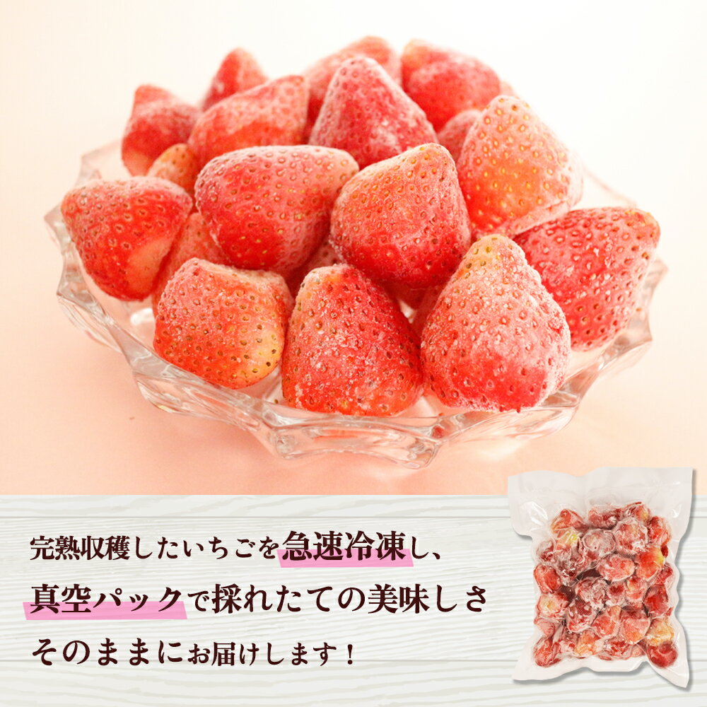 【ふるさと納税】 鹿角産 冷凍 いちご 1袋 500g入り 選べる 内容量 500g～2kg 旬 県産 県産いちご 国産いちご いちご 苺 イチゴ 真空 真空パック 小分け お中元 お歳暮 お取り寄せ 母の日 父の日 グルメ 故郷 秋田 あきた 鹿角市 鹿角 送料無料【とざわさん家のいちご】 サムネイル2