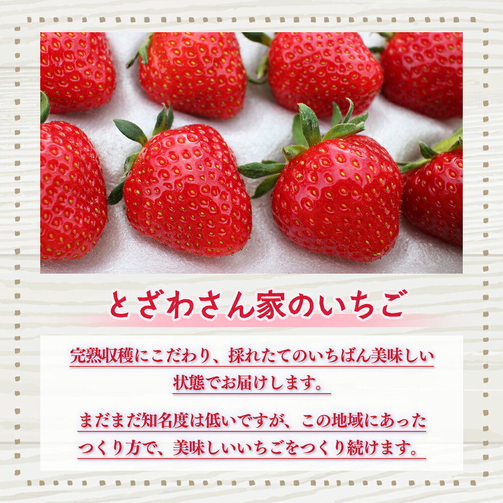 【ふるさと納税】 鹿角産 冷凍 いちご 1袋 500g入り 選べる 内容量 500g～2kg 旬 県産 県産いちご 国産いちご いちご 苺 イチゴ 真空 真空パック 小分け お中元 お歳暮 お取り寄せ 母の日 父の日 グルメ 故郷 秋田 あきた 鹿角市 鹿角 送料無料【とざわさん家のいちご】 サムネイル3