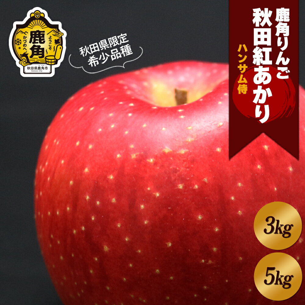 《 先行予約 》 ハンサム侍 りんご 秀品 「 秋田紅あかり 」 3kg / 5kg リンゴ 林檎 フルーツ グルメ ギフト 故郷 秋田 あきた 鹿角市 鹿角 送料無料 【ハンサム侍】