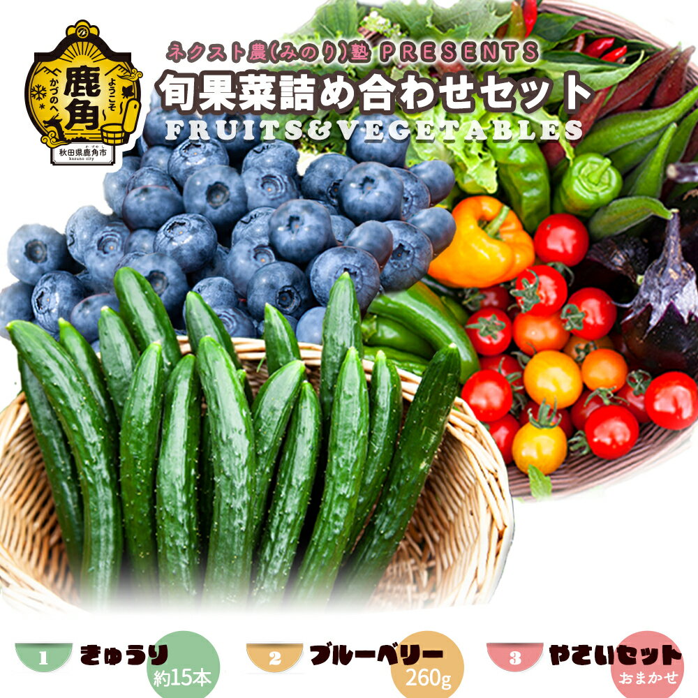 《 先行予約 》令和8年産 ネクスト農 ( みのり ) 熟 PRESENTS 旬果菜詰め合わせセット きゅうり 生ブルーベリー 旬の野菜 お中元 お歳暮 グルメ ギフト 故郷 秋田 あきた 鹿角市 鹿角 送料無料 【優作ファーム】