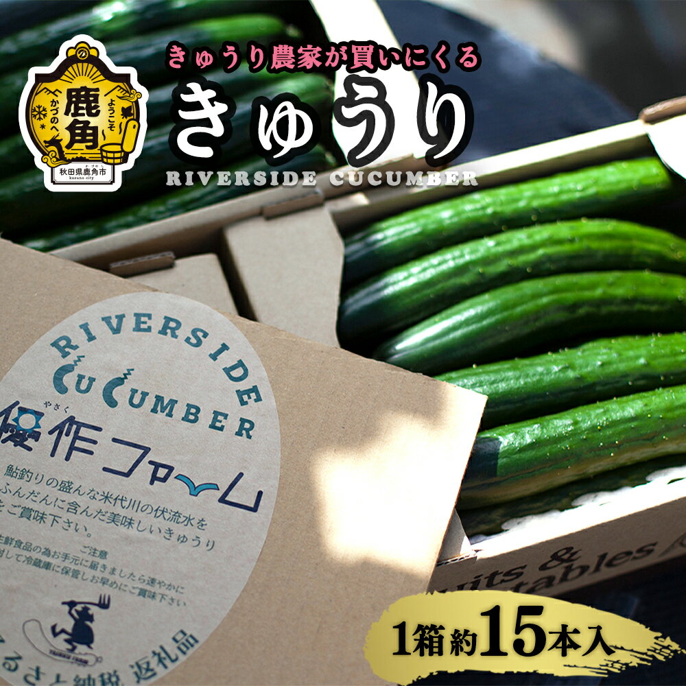 《 先行予約 》令和8年産 野菜ソムリエサミット 銀賞 2年 連続 受賞 リバーサイド きゅうり 1箱約15本入り 選べる内容量 秋田県鹿角産 新鮮 旬 安全 採れたて 胡瓜 国産野菜 お取り寄せ グルメ ギフト 秋田 あきた 鹿角市 鹿角 送料無料 【優作ファーム】