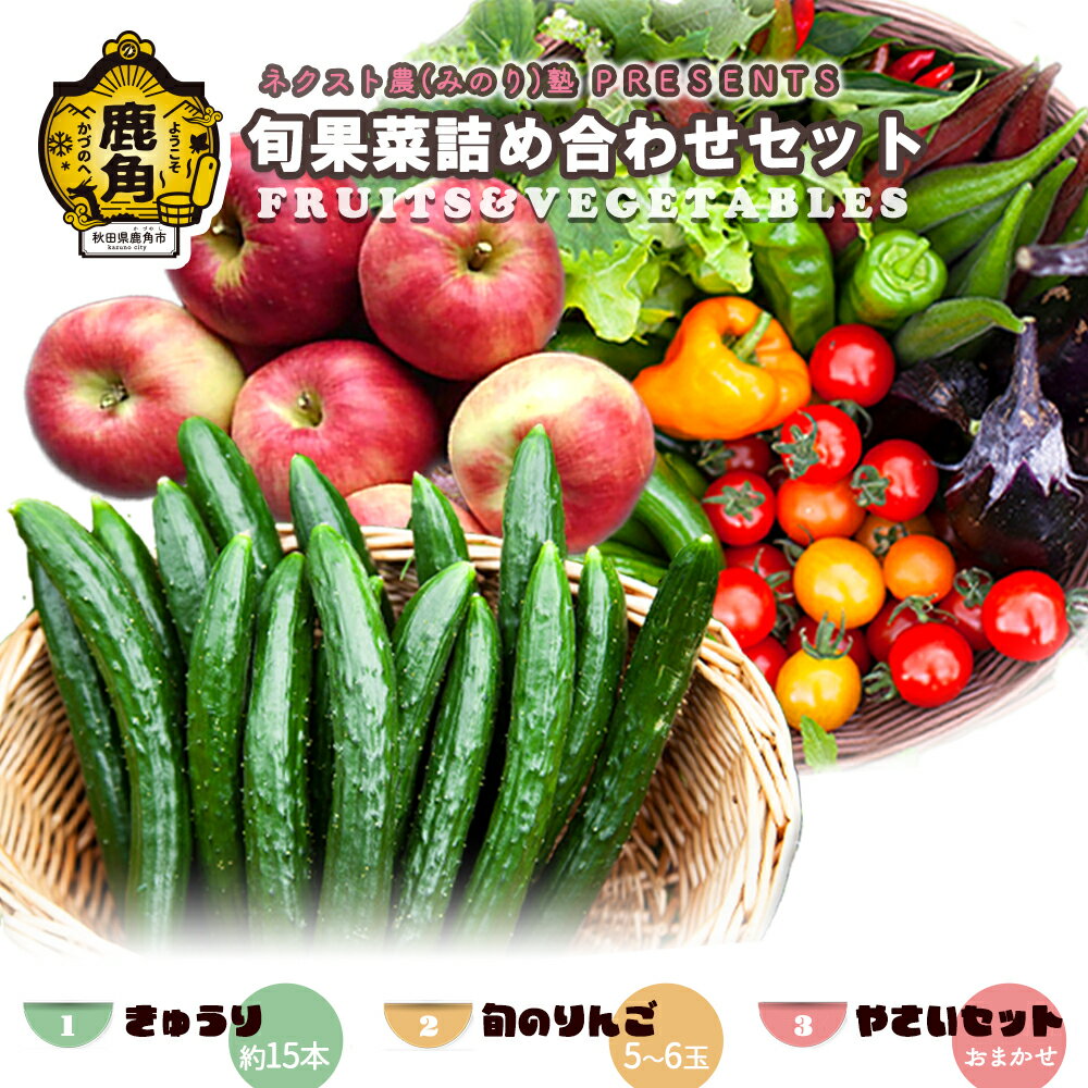 《 先行予約 》令和8年産 ネクスト農 ( みのり ) 熟 PRESENTS 旬果菜 詰め合わせセット きゅうり りんご 旬の野菜 お中元 お歳暮 お取り寄せ グルメ ギフト 故郷 秋田 あきた 鹿角市 鹿角 送料無料 【優作ファーム】