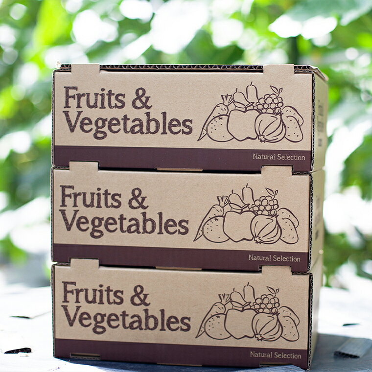 【ふるさと納税】《 先行予約 》令和8年産 ネクスト農 ( みのり ) 熟 PRESENTS 旬果菜詰め合わせセット きゅうり 生ブルーベリー 旬の野菜 お中元 お歳暮 グルメ ギフト 故郷 秋田 あきた 鹿角市 鹿角 送料無料 【優作ファーム】 - 画像2