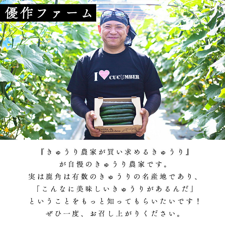 【ふるさと納税】《 先行予約 》令和8年産 ネクスト農 ( みのり ) 熟 PRESENTS 旬果菜詰め合わせセット きゅうり 生ブルーベリー 旬の野菜 お中元 お歳暮 グルメ ギフト 故郷 秋田 あきた 鹿角市 鹿角 送料無料 【優作ファーム】 - 画像3