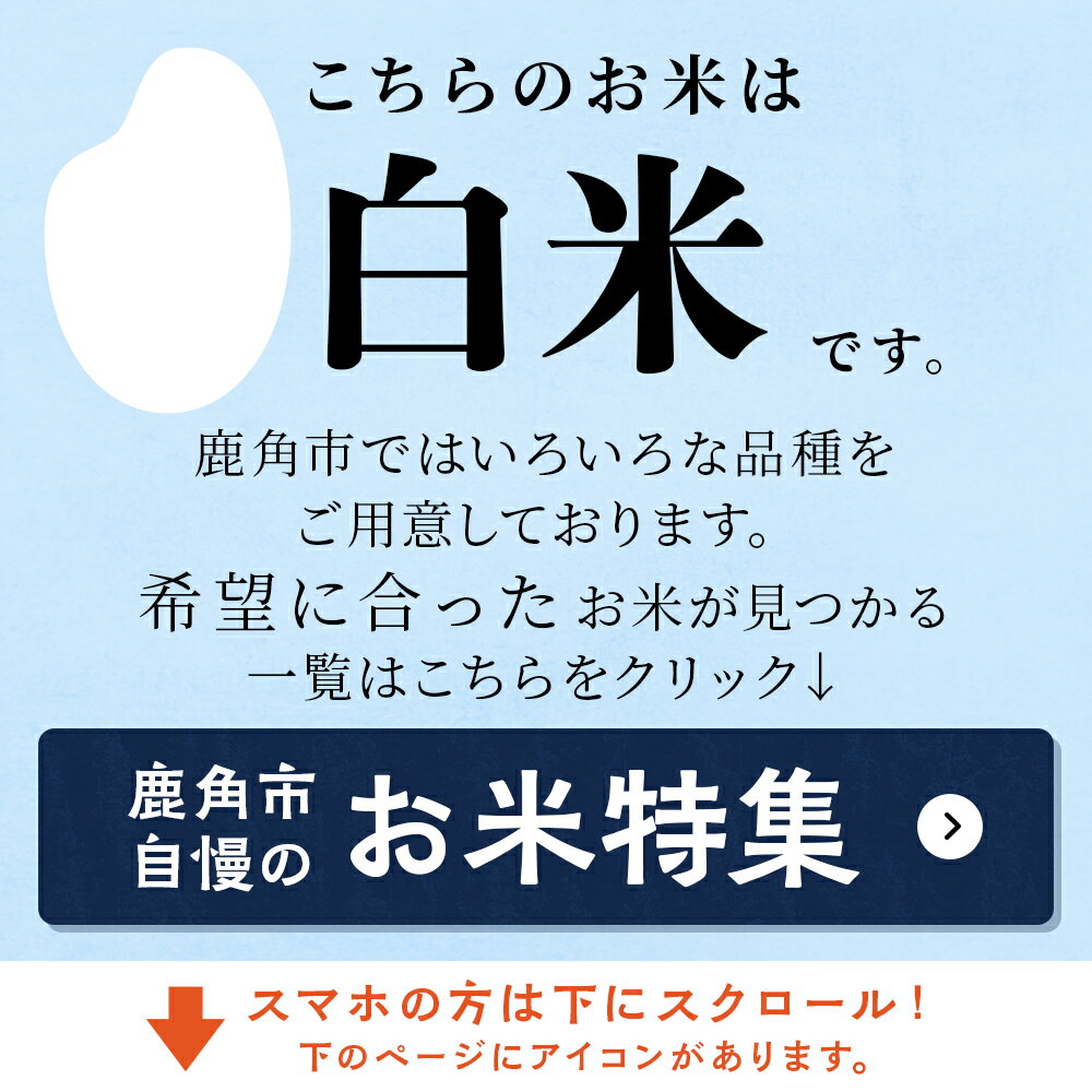 【ふるさと納税】 令和7年産 あきたこまち 精米 5kg 10kg 20kg 単品 3ヶ月 6ヶ月 米 厳選一等米 ダイツネ 1袋 5kg 入り 選べる内容量 定期 定期便 小分け 白米 備蓄 真空 真空パック お米 県産米 国産米 秋田県 あきた 鹿角市 鹿角 送料無料 【大里恒三商店】 - 画像2