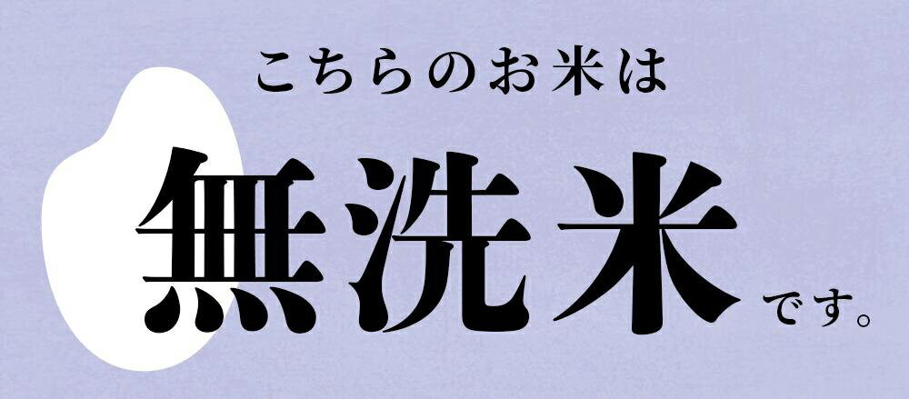【ふるさと納税】令和7年産 米 あきたこまち 無洗米 単品 5kg 10kg 選べる 内容量 発送時期 選択 末広産 白米 米 無洗 お米 こめ コメ 秋田県産あきたこまち 国産米 秋田県 あきた 鹿角市 鹿角 送料無料 【末広ファーム】 - 画像2