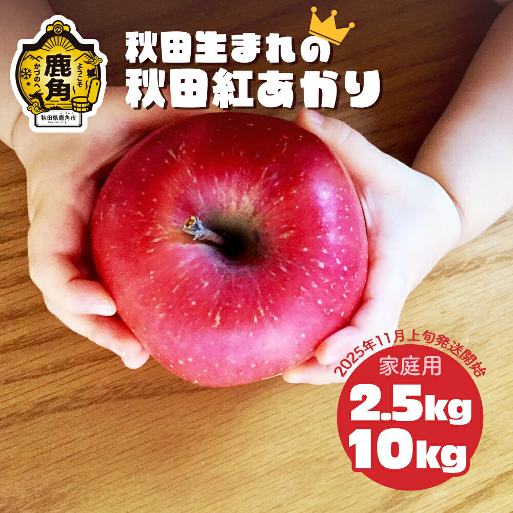 《 先行予約 》 りんご 訳あり 秋田紅あかり 2.5kg / 10kg 秋田県限定 オリジナル品種 紅あかり 食感 果汁 さっぱり リンゴ 完熟 旬 県産りんご 林檎 お中元 お歳暮 贈り物 お見舞い グルメ ギフト 故郷 秋田 あきた 鹿角市 鹿角 送料無料 【ケーケー農園】