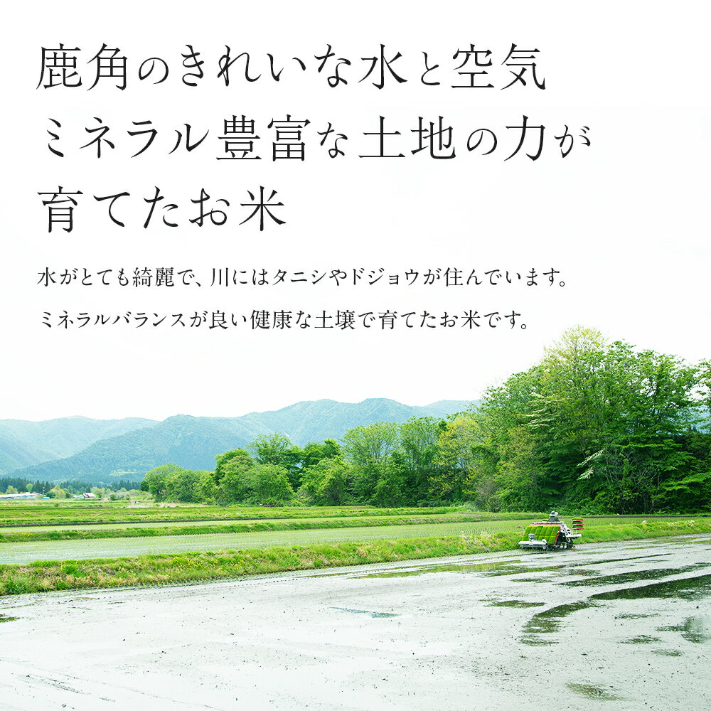 【ふるさと納税】 白米 あきたこまち 令和7年産 5kg 約27kg 米 精米 単一原料米 単品 低温乾燥 低温精米 あきたこまち 選べる 内容量 お米 県産米 秋田県産 国産米 秋田県 あきた 鹿角市 鹿角 送料無料 【こだて農園】 - 画像3