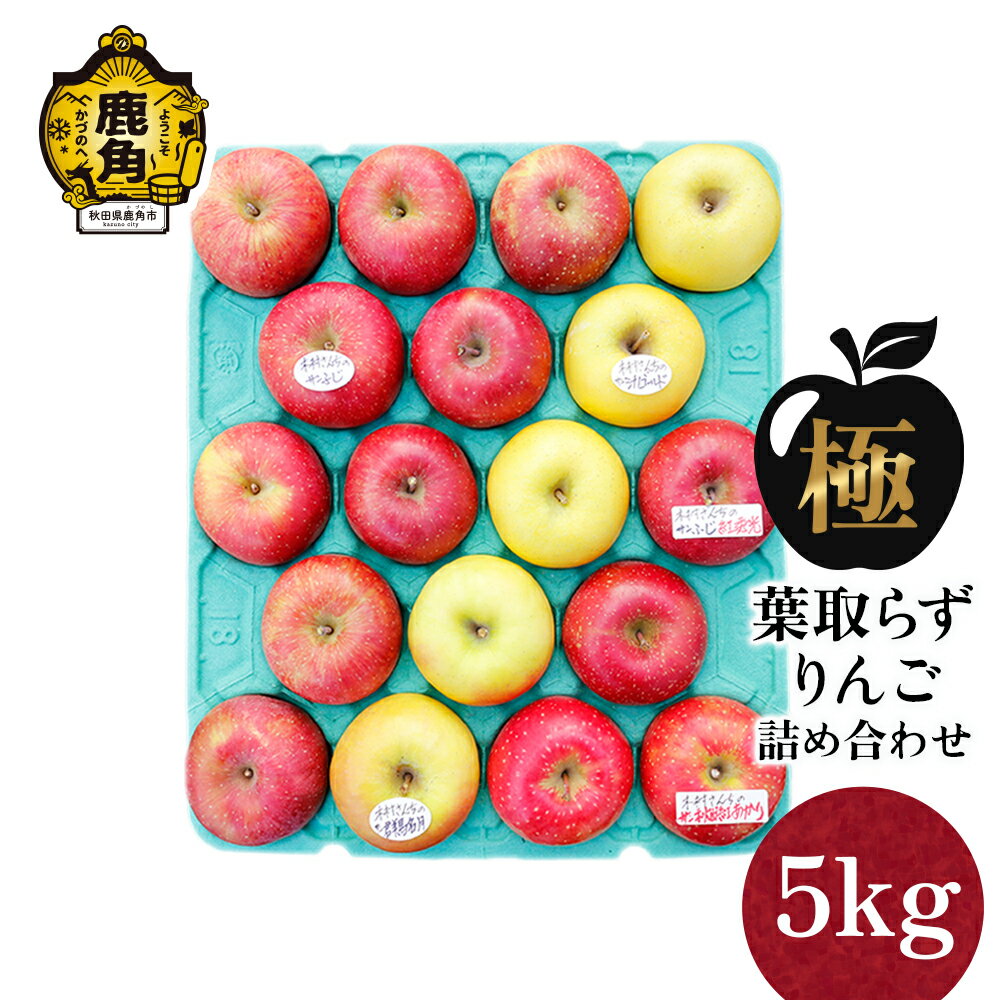 《 先行予約 》 りんご 極 葉取らずりんご 3～5品種 詰め合わせ 5kg（13～20玉）品種おまかせ【録政園】 葉とらず みずみずしい 果汁 リンゴ 林檎 完熟 旬 県産りんご お中元 お歳暮 贈り物 お見舞い グルメ ギフト 故郷 秋田県鹿角市産 送料無料
