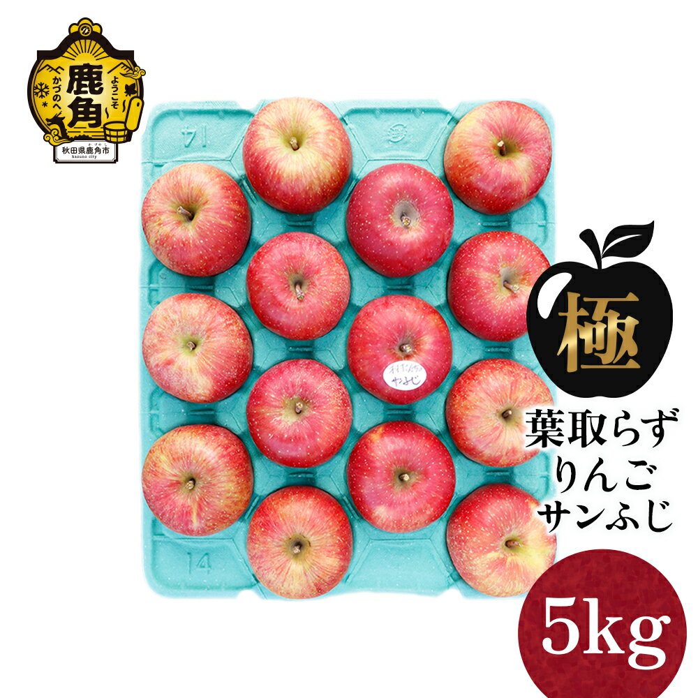 《 先行予約 》 りんご 極 葉取らず サンふじ 5kg（13～20玉）【録政園】 葉とらず みずみずしい 果汁 リンゴ 林檎 完熟 旬 県産りんご お中元 お歳暮 贈り物 お見舞い グルメ ギフト 故郷 秋田県鹿角市産 送料無料