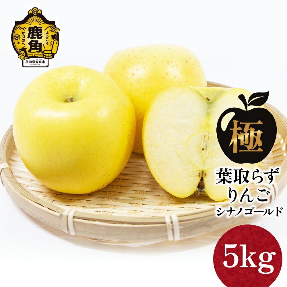 りんご 極 葉取らず シナノゴールド 5kg（13～20玉）【録政園】 葉とらず みずみずしい 果汁 リンゴ 林檎 完熟 旬 県産りんご お中元 お歳暮 贈り物 お見舞い グルメ ギフト 故郷 秋田県鹿角市産 送料無料