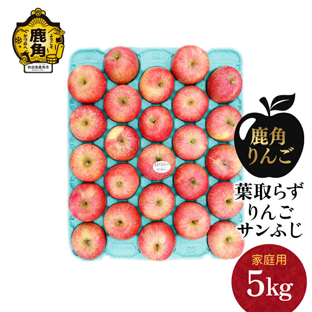 りんご 訳あり 葉取らず サンふじ 家庭用 小玉 5kg（23～25玉）【録政園】 葉とらず みずみずしい 果汁 リンゴ 林檎 完熟 旬 県産りんご お中元 お歳暮 贈り物 お見舞い グルメ ギフト 故郷 秋田県鹿角市産 送料無料