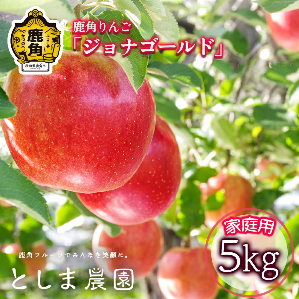 《 先行予約 》 訳あり 鹿角 りんご ジョナゴールド 家庭用 約 5kg ( 12～20玉 ) リンゴ 完熟 旬 県産りんご お中元 お歳暮 贈り物 お見舞い グルメ ギフト 故郷 秋田 あきた 鹿角市 鹿角 送料無料 【としま農園】