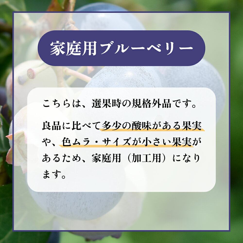 【ふるさと納税】 令和7年産 訳あり 冷凍 ブルーベリー 選べる 1kg / 2kg ( サイズMIX ) 旬 県産 ブルーベリー 国産ブルーベリー 小分け お中元 お歳暮 お取り寄せ 母の日 父の日 グルメ ギフト 故郷 秋田 あきた 鹿角市 鹿角 送料無料 【としま農園】 サムネイル2