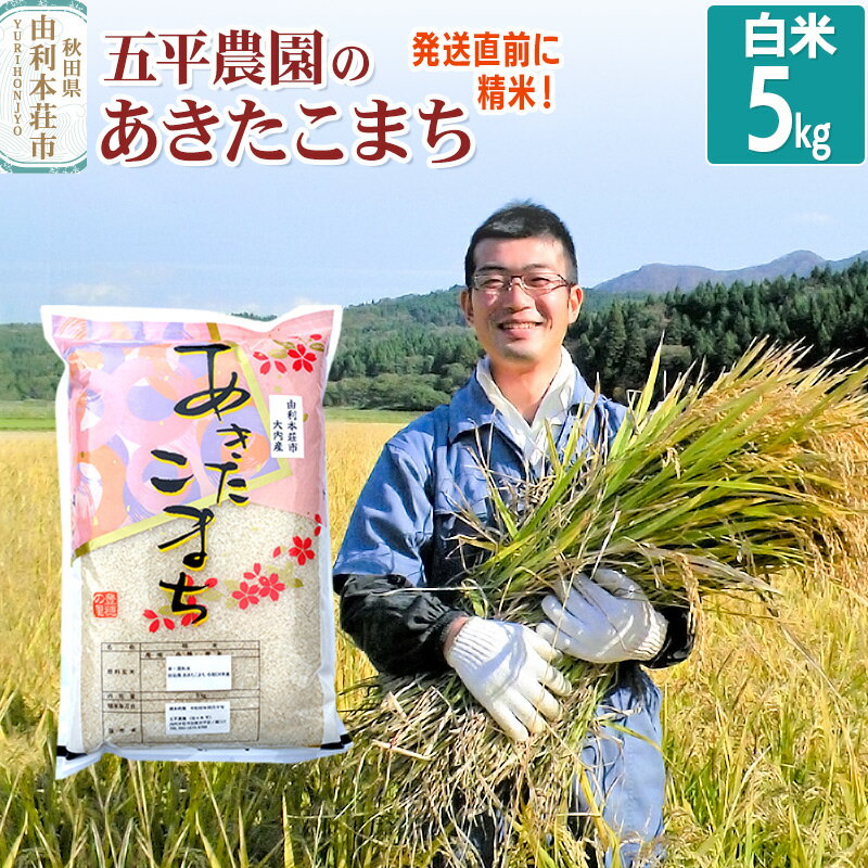 【白米】あきたこまち 5kg 令和7年産 秋田県産 五平農園のあきたこまち お米 米 こめ 五平農園
