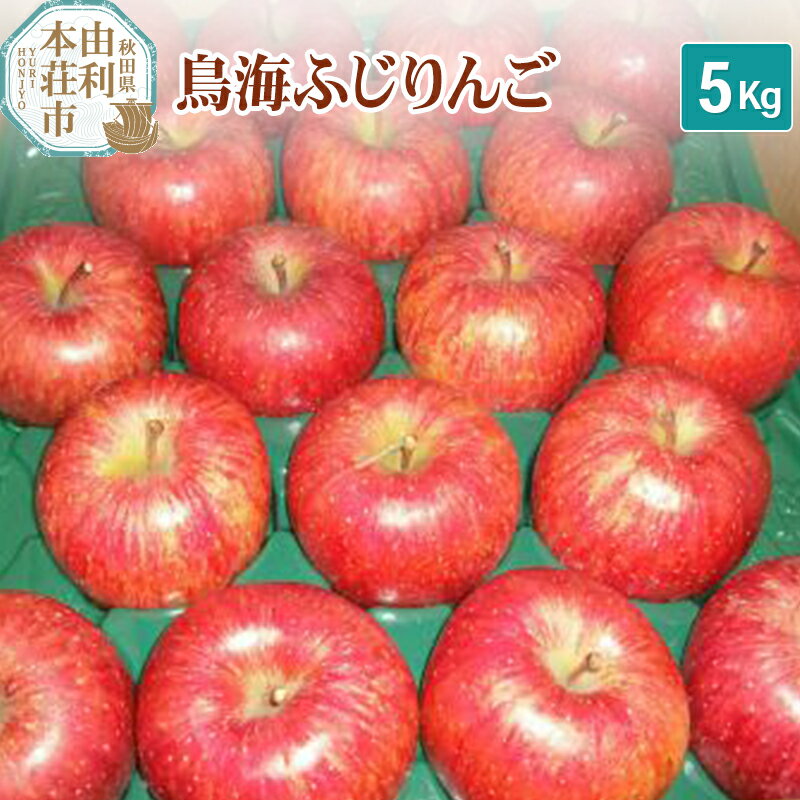《予約受付》鳥海ふじりんご 5kg 農家直送 林檎 リンゴ 秋田県 由利本荘市