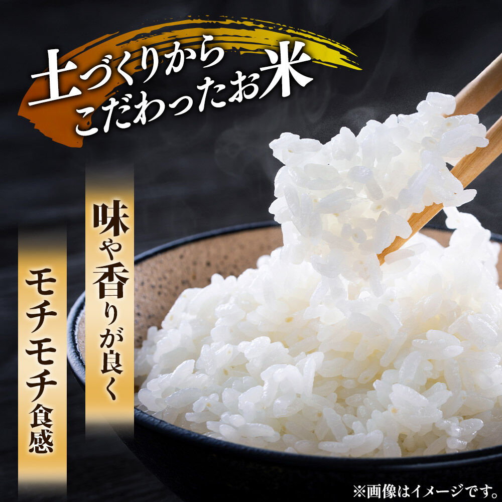 【ふるさと納税】《1回のみお届け》令和7年産【白米】 サキホコレ2kg・土づくり実証米ひとめぼれ2kg (各2kg×1袋：計4kg) 精米 特A評価米 秋田県産 - 画像2