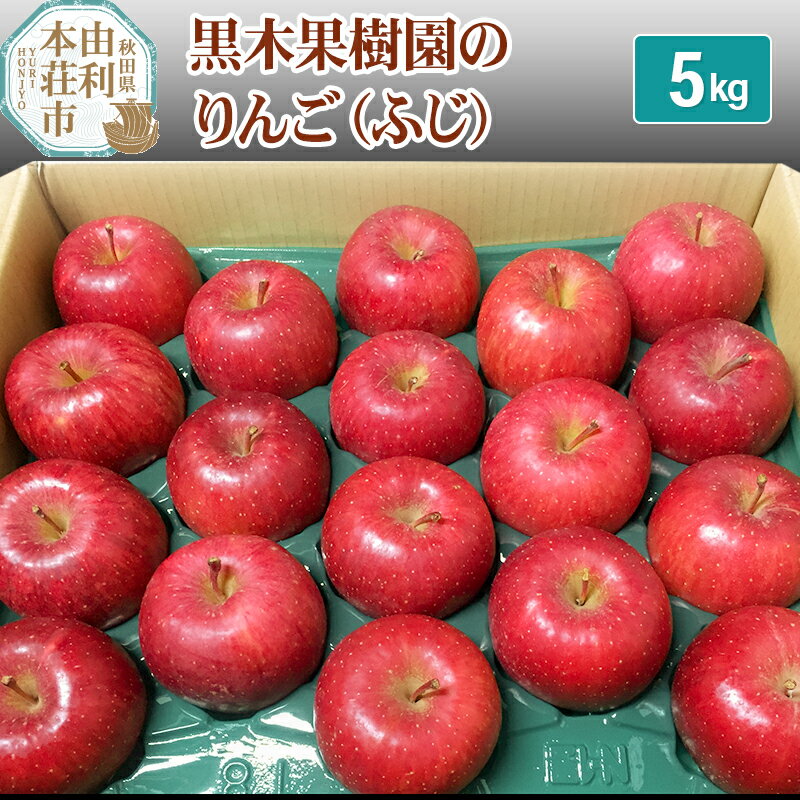 黒木果樹園のりんご（ふじ） 5kg