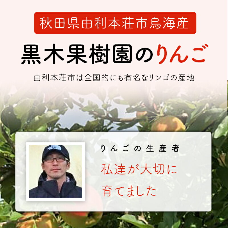 【ふるさと納税】黒木果樹園のりんご（ふじ） 5kg サムネイル2