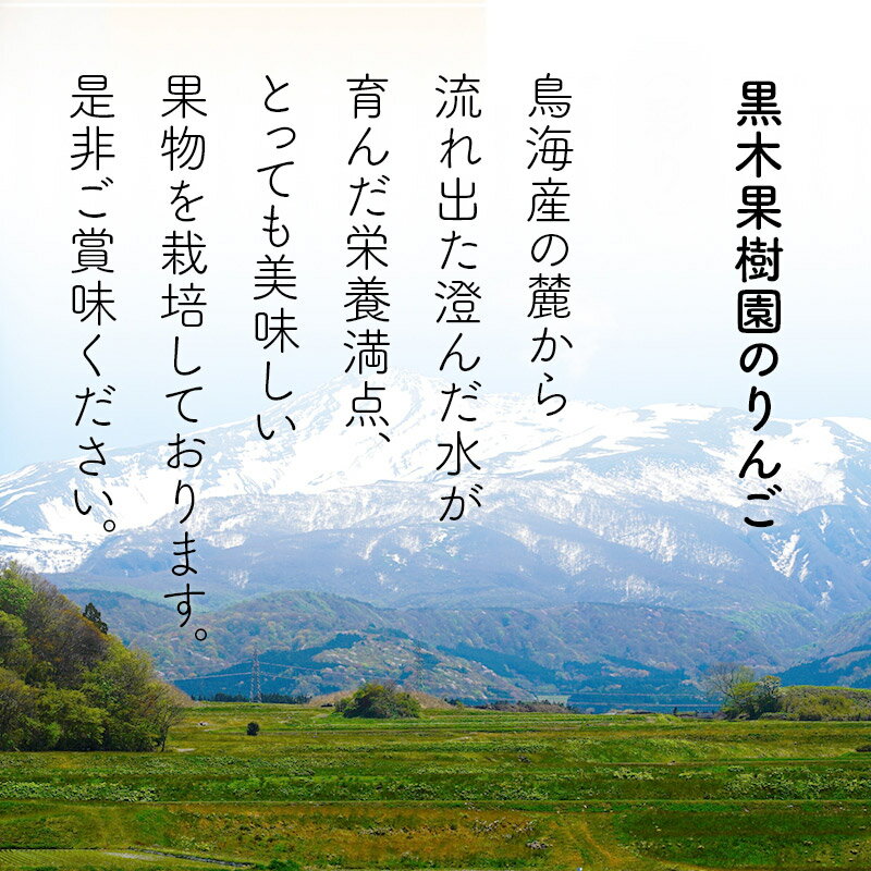【ふるさと納税】黒木果樹園のりんご（ふじ） 5kg サムネイル3