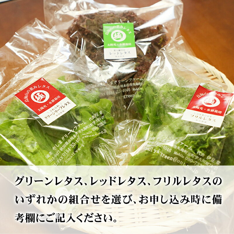 【ふるさと納税】リーフレタス各種 80g×5パック グリーンレタス フリルレタス レッドレタス - 画像2