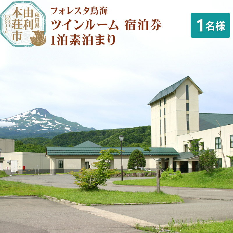 フォレスタ鳥海ツインルーム(シングル使用)宿泊券 1泊素泊まり(1名様分)
