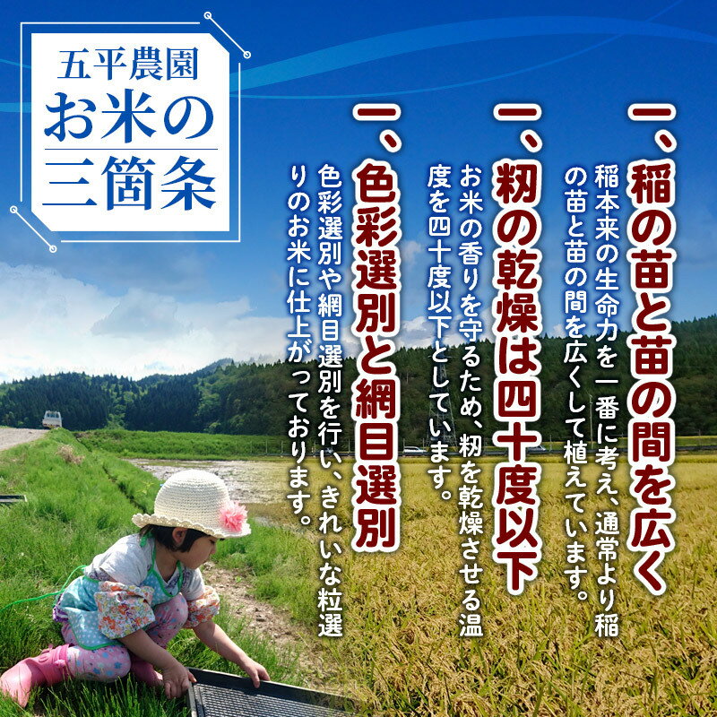 【ふるさと納税】【白米】あきたこまち 5kg 令和7年産 秋田県産 五平農園のあきたこまち お米 米 こめ 五平農園 - 画像2