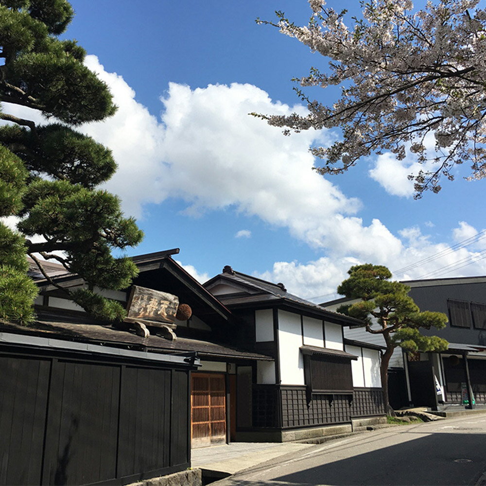 【ふるさと納税】天寿酒造 日本酒 純米大吟醸 鳥海山 720ml × 1本 Kura Master 金賞受賞 サムネイル3