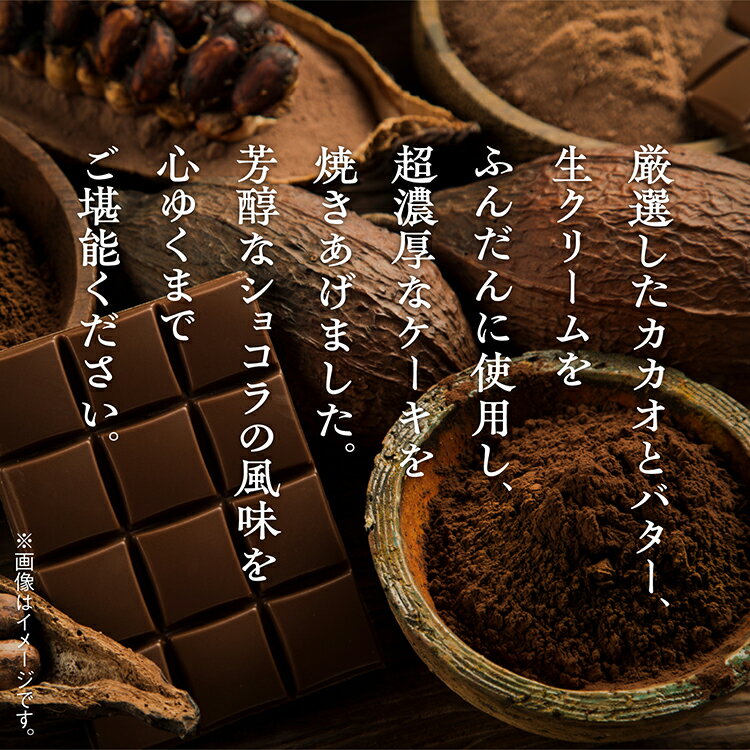 【ふるさと納税】 濃厚ショコラケーキ 12個 セット 洋菓子 お菓子 ケーキ チョコレート 詰め合わせ 冷蔵 冷凍 ご当地 グルメ 故郷 ふるさと 納税 潟上 潟上市 バレンタイン ホワイトデー 遅れてごめんね お取り寄せ 個包装 秋田 【飯田川つくし苑】 - 画像2