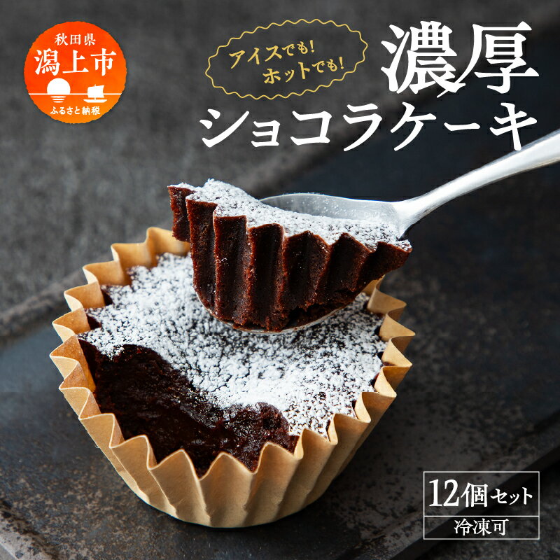 濃厚ショコラケーキ 12個 セット 洋菓子 お菓子 ケーキ チョコレート 詰め合わせ 冷蔵 冷凍 ご当地 グルメ 故郷 ふるさと 納税 潟上 潟上市 バレンタイン ホワイトデー 遅れてごめんね お取り寄せ 個包装 秋田 【飯田川つくし苑】