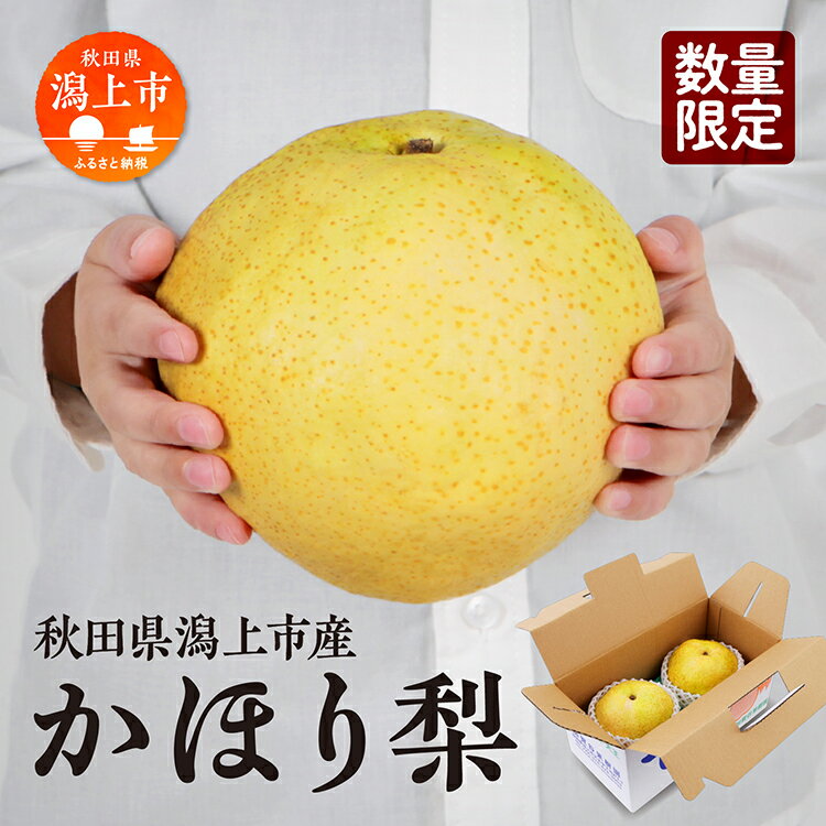 《10月中旬以降発送》令和7年産 和梨 かほり梨 かほり 旬 甘い 大玉 800g くだもの 果物 フルーツ なし ナシ 冷蔵 グルメ 人気 おすすめ ランキング 秋田 秋田県 潟上 潟上市 【加賀谷果樹園】