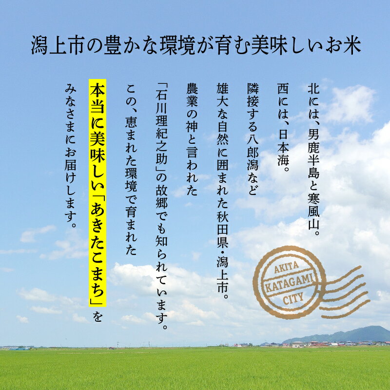 【ふるさと納税】令和7年産 あきたこまち 10kg 白米 精米 直送 米 お米 こめ おこめ コメ コスパ ブランド米 産地直送 贈り物 プレゼント おいしい お米 秋田こまち 秋田県潟上市 【鎌仁商店】 - 画像3