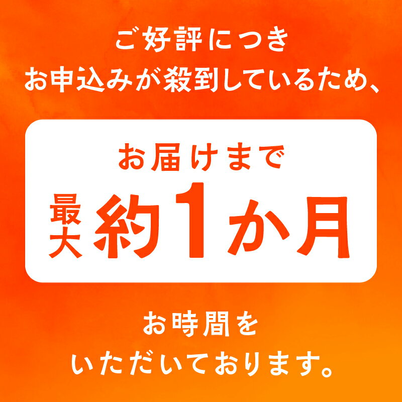 【ふるさと納税】 かたがみシュー プレーン 6個入 サキホコレ 米粉使用 シュークリーム 甘さ控えめ 冷凍 小分け お土産 お菓子 洋菓子 デザート お取り寄せ スイーツ 人気 ランキング おすすめ 敬老の日 秋田 潟上 潟上市 送料無料【サインマーケット】 サムネイル3