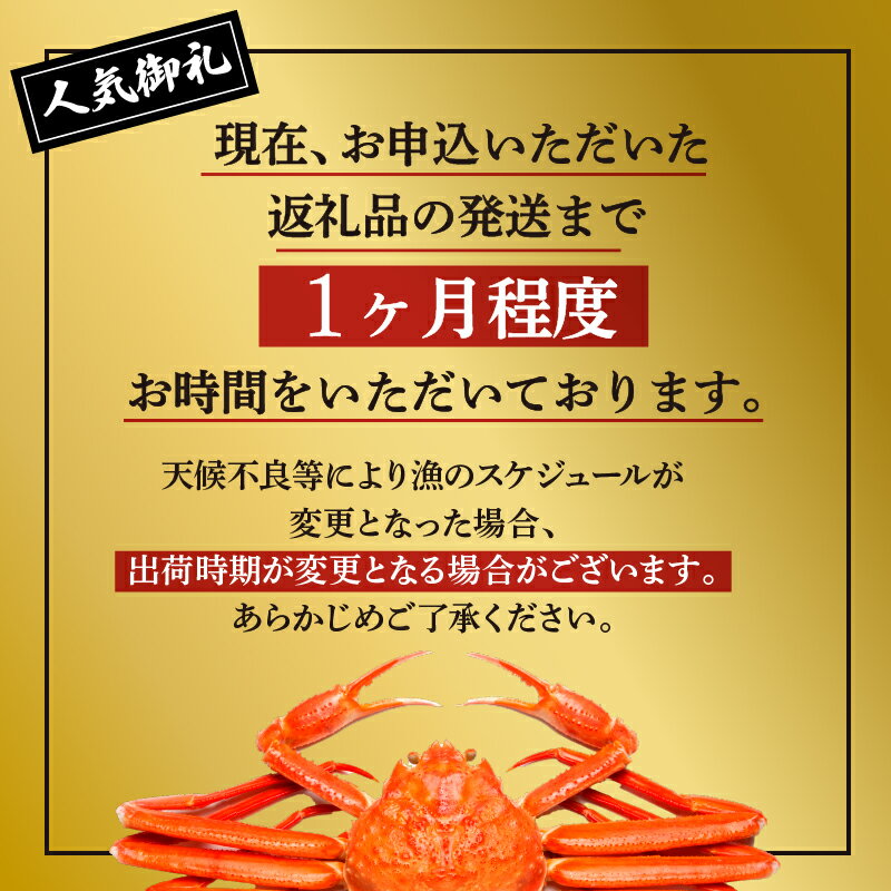 【ふるさと納税】《レビューキャンペーン実施中》冷蔵 訳あり ズワイガニ 約 3kg 紅ズワイガニ ベニズワイガニ ずわい ズワイ蟹 ずわいがに ずわい蟹 姿 ボイル 蟹 カニ かに かに爪 カニ爪 国産 蟹 不揃い カニみそ入り 潟上市 ランキング【安田水産】 - 画像2