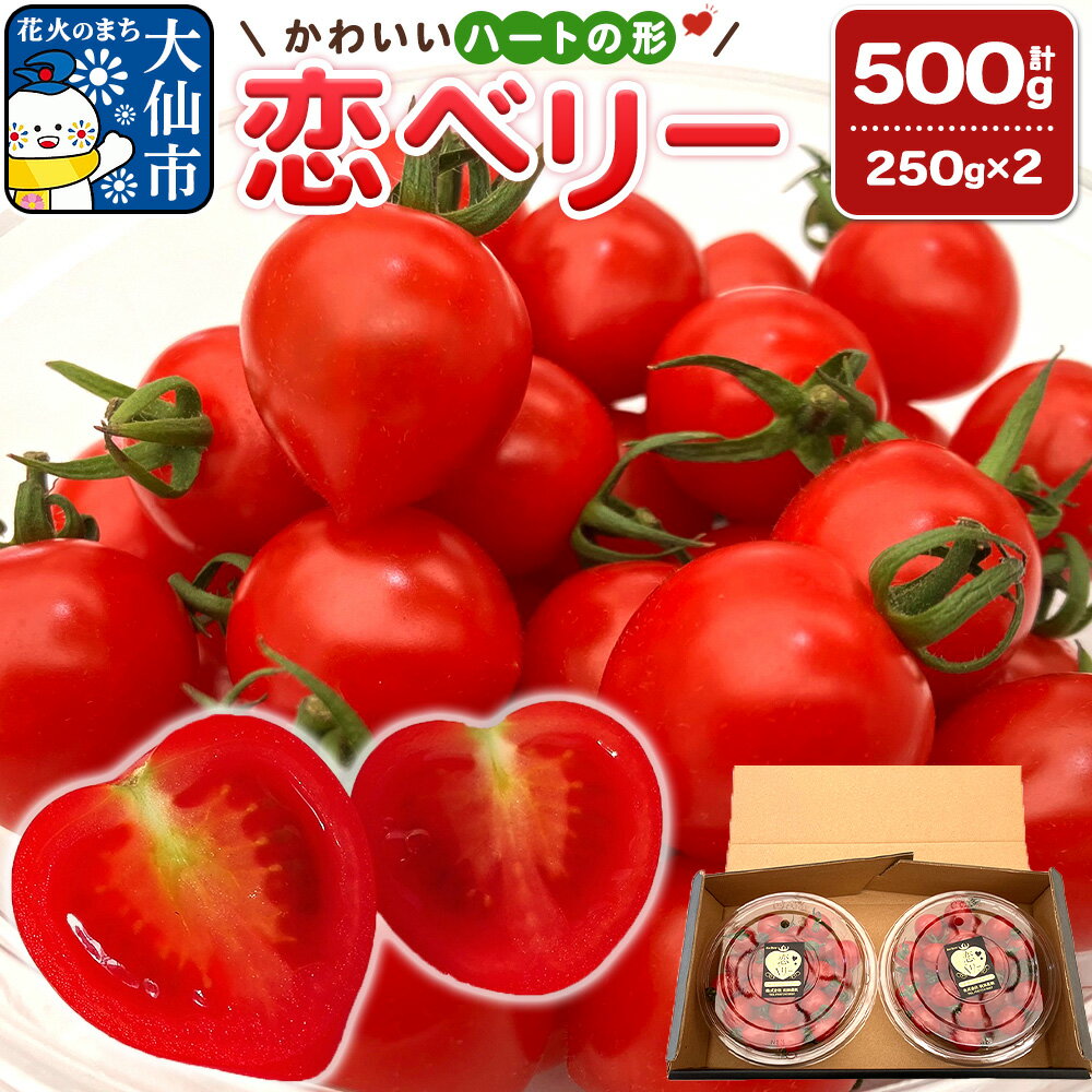 秋田県産ミニトマト「恋ベリー」500g（250g×2）ギフトBOX 高糖度 とまと 野菜 新鮮 甘い