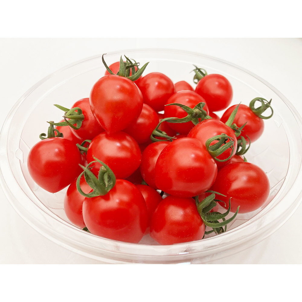 【ふるさと納税】秋田県産ミニトマト「恋ベリー」1kg（250g×4）ギフトBOX 高糖度 とまと 野菜 新鮮 甘い - 画像2