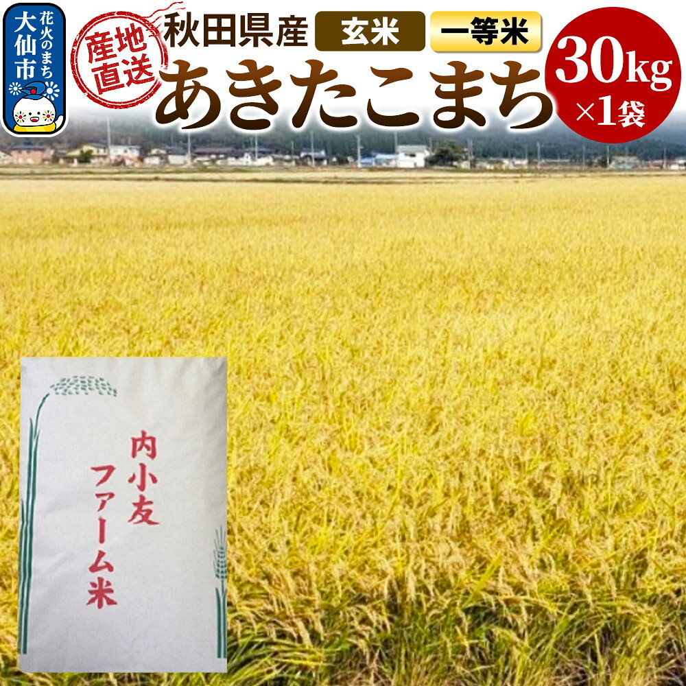 米 令和7年産 秋田県産あきたこまち 一等米 農家直送 玄米30kg 内小友ファーム
