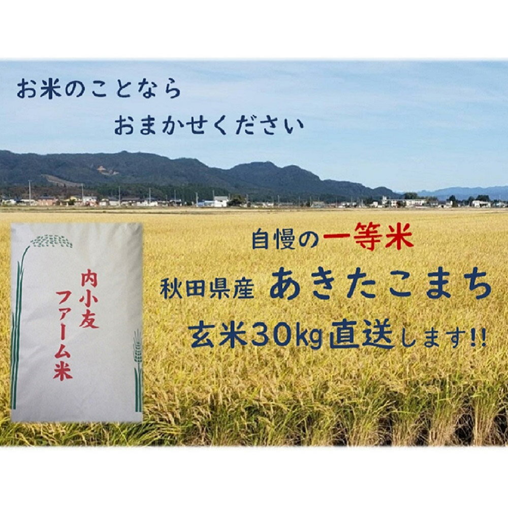 【ふるさと納税】米 令和7年産 秋田県産あきたこまち 一等米 農家直送 玄米30kg 内小友ファーム - 画像3