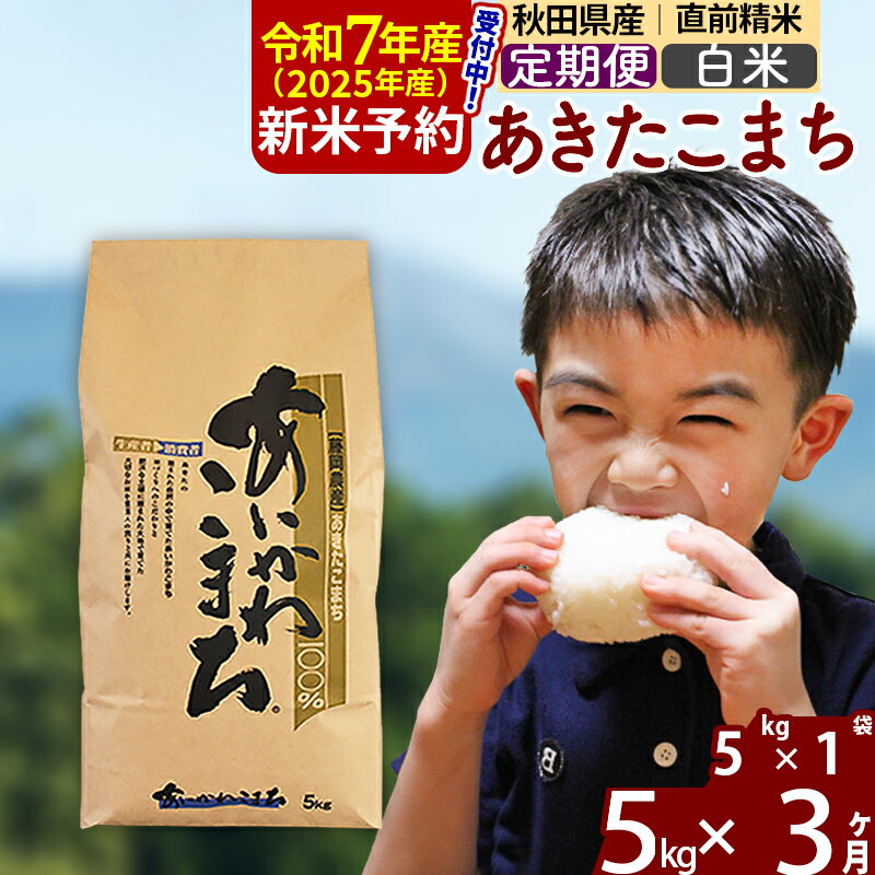 ※令和7年産 新米予約※《定期便3ヶ月》秋田県産 あきたこまち 5kg【白米】(5kg小分け袋) 2025年産 お届け周期調整可能 隔月に調整OK お米 藤岡農産