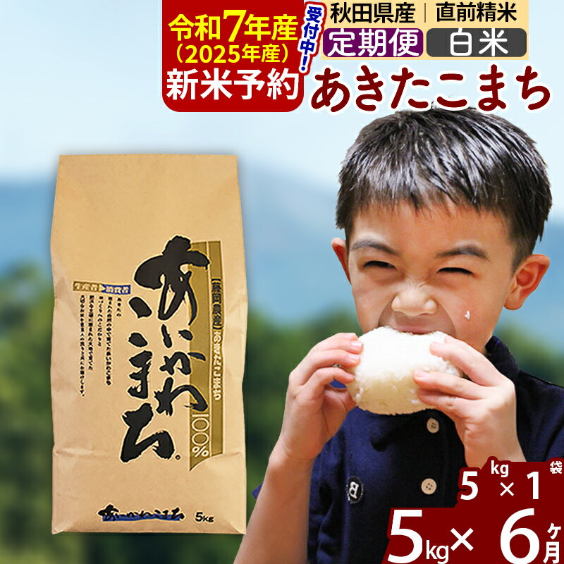 ※令和7年産 新米予約※《定期便6ヶ月》秋田県産 あきたこまち 5kg【白米】(5kg小分け袋) 2025年産 お届け周期調整可能 隔月に調整OK お米 藤岡農産