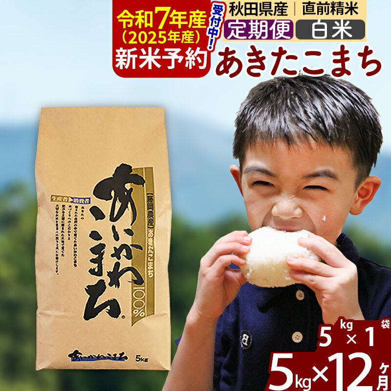 ※令和7年産 新米予約※《定期便12ヶ月》秋田県産 あきたこまち 5kg【白米】(5kg小分け袋) 2025年産 お届け周期調整可能 隔月に調整OK お米 藤岡農産