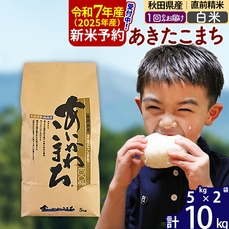 ※令和7年産 新米予約※秋田県産 あきたこまち 10kg【白米】(5kg小分け袋) 【1回のみお届け】2025産 お米 藤岡農産