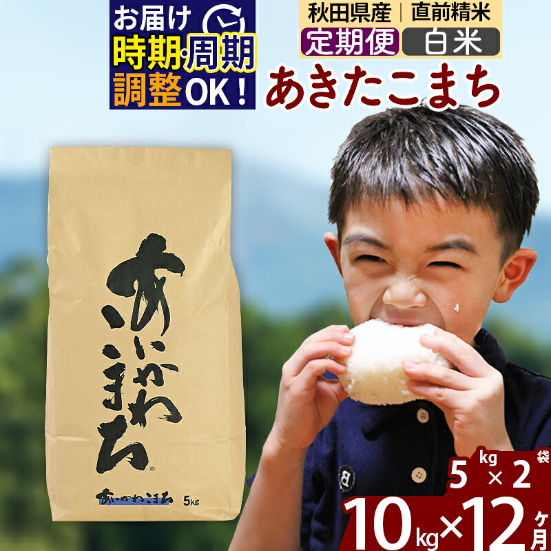 ※令和7年産※《定期便12ヶ月》秋田県産 あきたこまち 10kg【白米】(5kg小分け袋) 2025年産 お届け時期選べる お届け周期調整可能 隔月に調整OK お米 藤岡農産