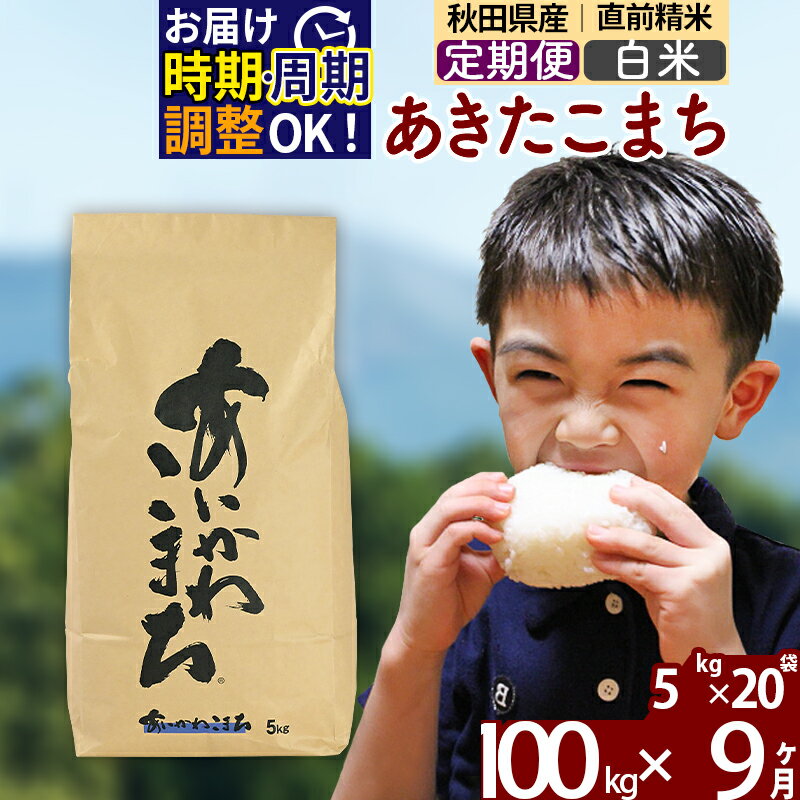 ※令和7年産※《定期便9ヶ月》秋田県産 あきたこまち 100kg【白米】(5kg小分け袋) 2025年産 お届け時期選べる お届け周期調整可能 隔月に調整OK お米 藤岡農産 [藤岡農産 秋田 お米 あきたこまち 米どころ 東北]