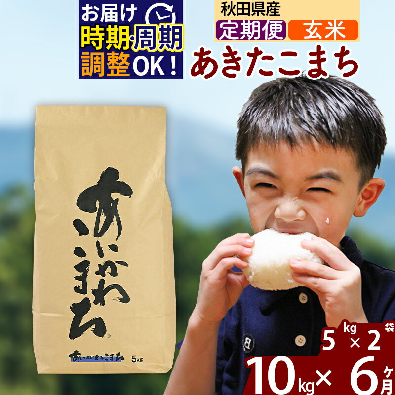※令和7年産※《定期便6ヶ月》秋田県産 あきたこまち 10kg【玄米】(5kg小分け袋) 2025年産 お届け時期選べる お届け周期調整可能 隔月に調整OK お米 藤岡農産 [藤岡農産 秋田 お米 あきたこまち 米どころ 東北 北秋田市]