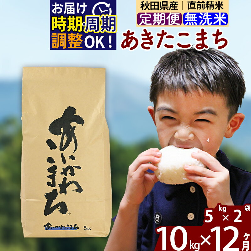※令和7年産※《定期便12ヶ月》秋田県産 あきたこまち 10kg【無洗米】(5kg小分け袋) 2025年産 お届け時期選べる お届け周期調整可能 隔月に調整OK お米 藤岡農産 [藤岡農産 秋田 お米 あきたこまち 米どころ 東北]