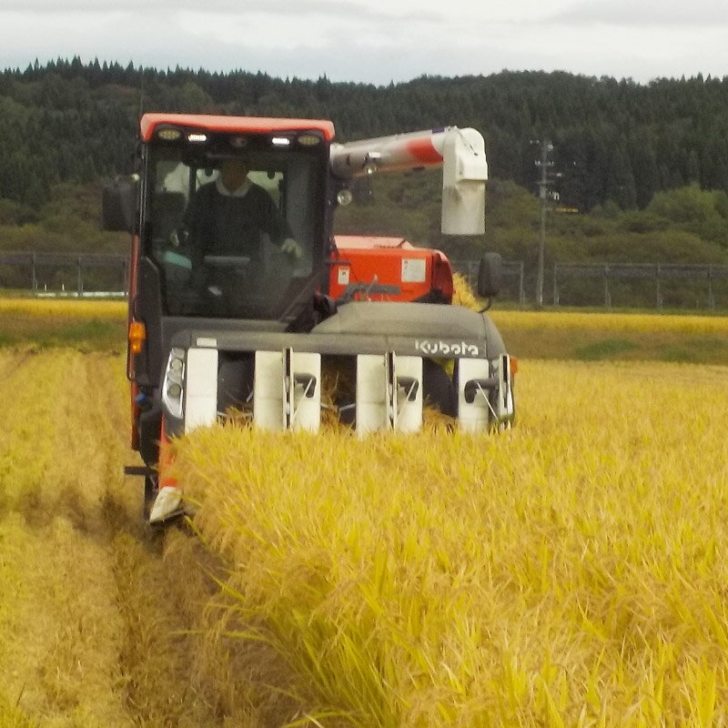 【ふるさと納税】令和7年産 発芽玄米（2kg×2袋）発芽米 玄米 ビタミン カルシウム ギャバ ミネラル 食物繊維 - 画像2