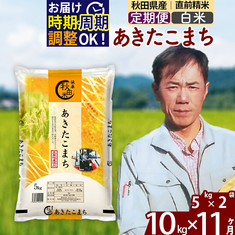 ※令和7年産※《定期便11ヶ月》秋田県産 あきたこまち 10kg【白米】(5kg小分け袋) 2025年産 お届け時期選べる お届け周期調整可能 隔月に調整OK お米 みそらファーム